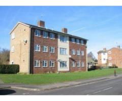 Fire / Smoke Alarm Test in a Home on 01245 730896  in Chelmsford